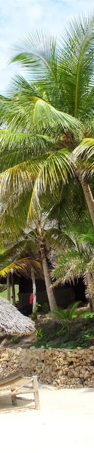 Sonne dich an den schneeweissen Stränden von Mafia Island